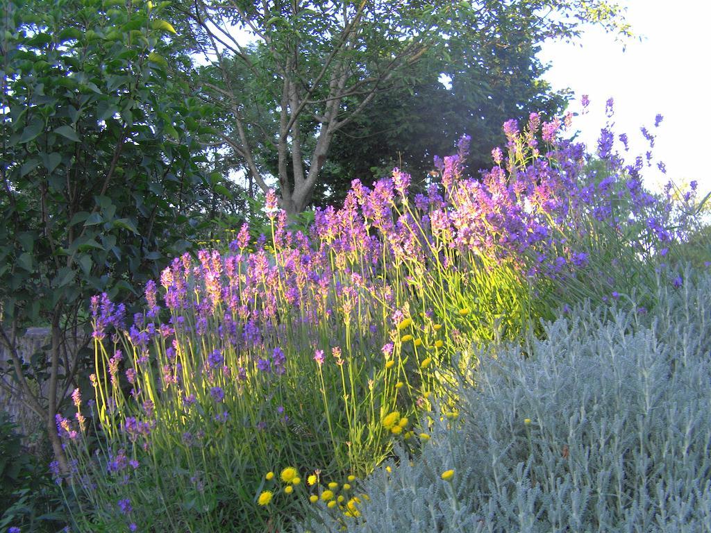Fenetre Sur Loire Bed & Breakfast Iguerande Luaran gambar
