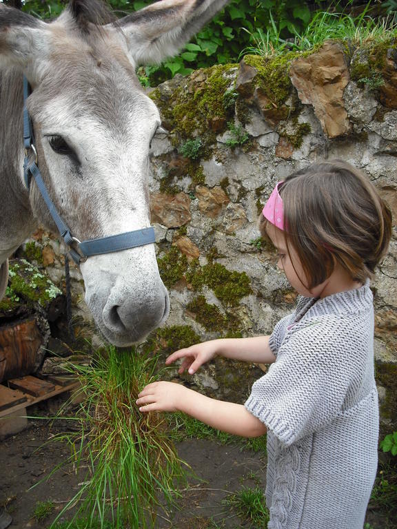 Fenetre Sur Loire Bed & Breakfast Iguerande Luaran gambar