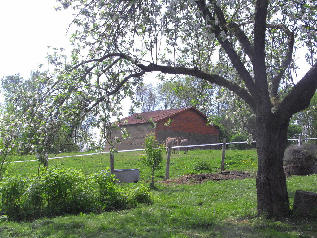 Fenetre Sur Loire Bed & Breakfast Iguerande Luaran gambar
